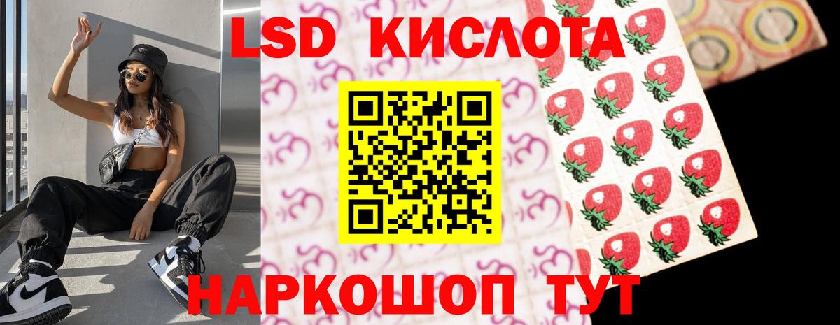 Альфа ПВП Аргун