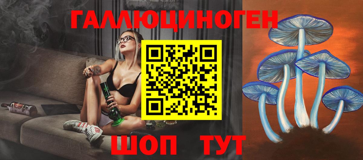Аргун  Галлюциногенные грибы мицелий  Вход с VPN  Галлюциногенные грибы Cubensis 